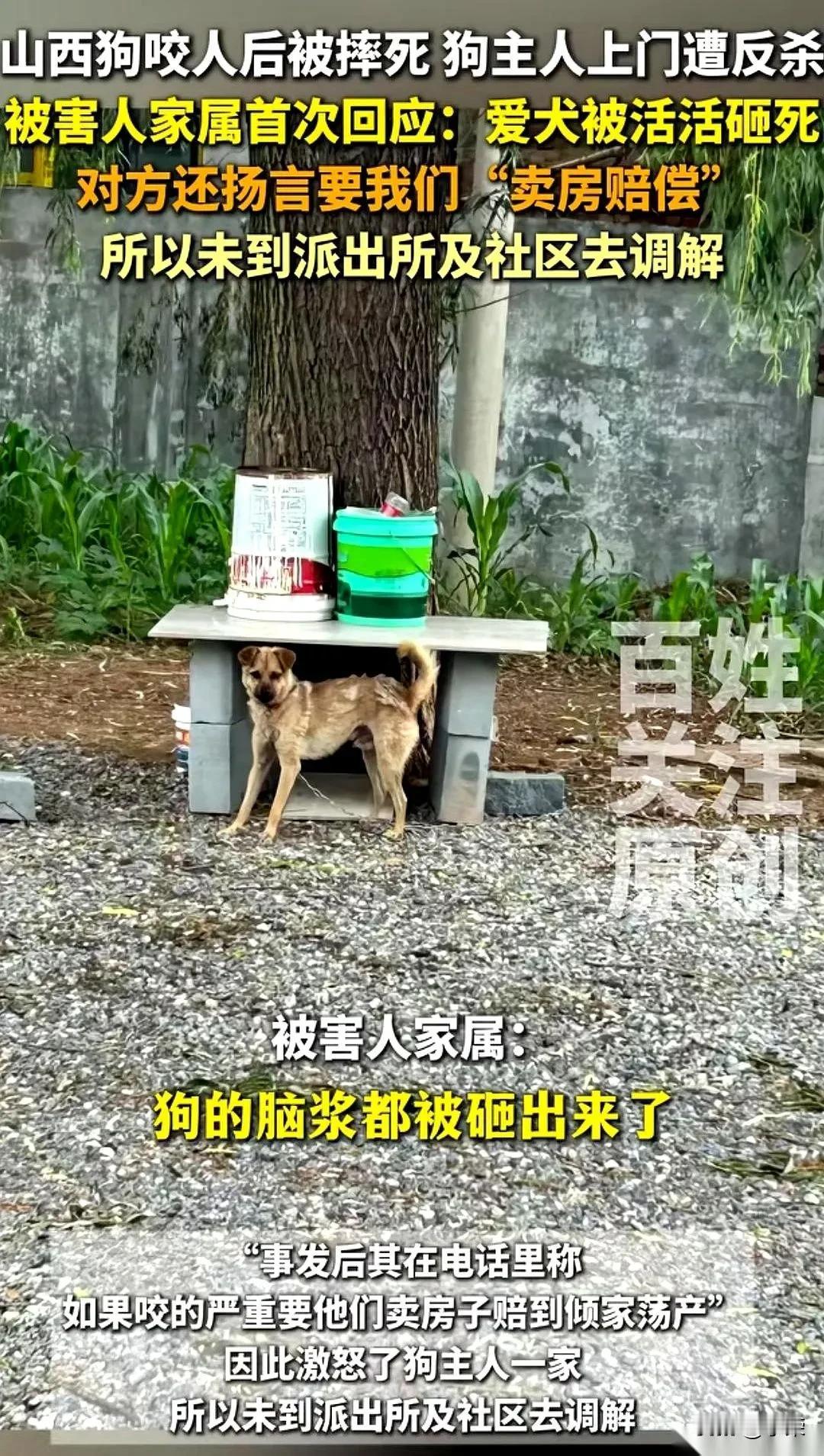 长治狗咬人引发的事件，已经过去好长时间了。网友们使劲的扒，这不，又有人说，狗主人