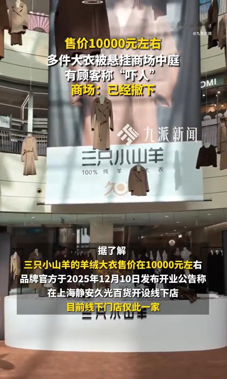 商场被指吓人悬空大衣已撤下：下面展台部分正常售卖近日，有网友发帖反映，上海南