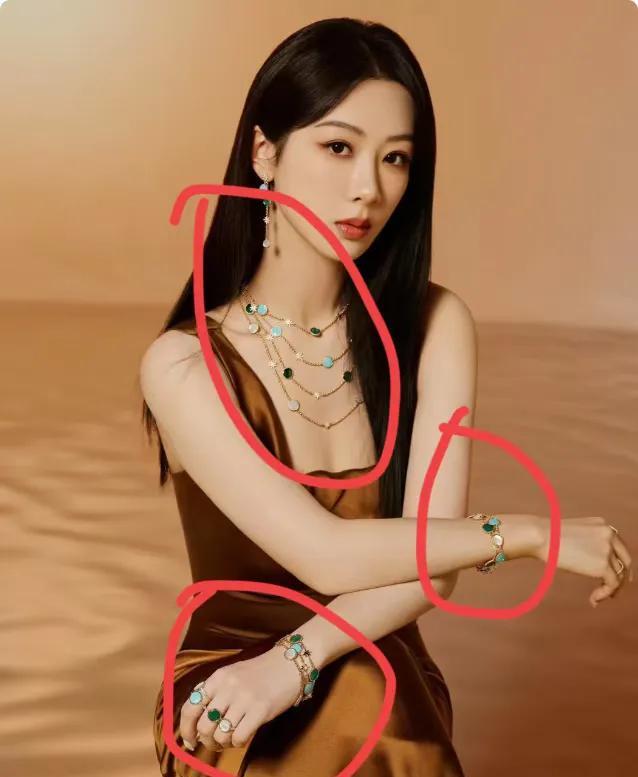 杨紫为什么决定不结婚了？这可不是因为没有追求者，杨紫身上的耳环和项链手链，价值不