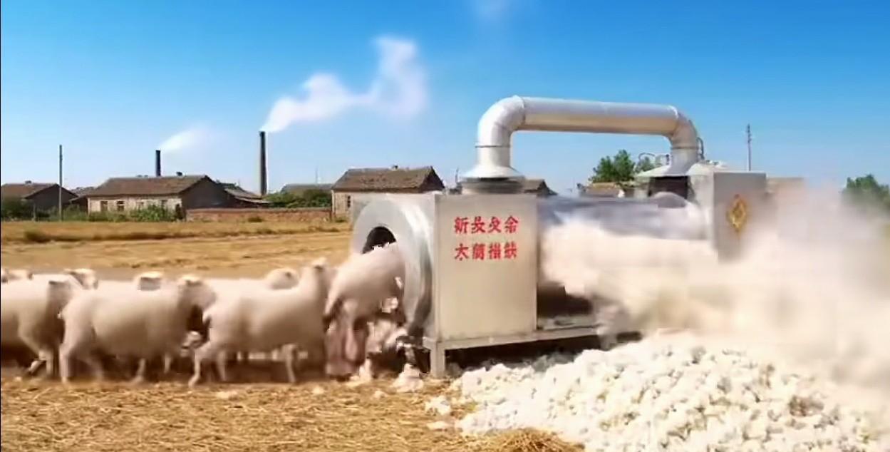 太厉害了，这是什么高科技设备啊？关键是羊去哪里了？[捂脸哭][捂脸哭][捂脸哭][捂脸
