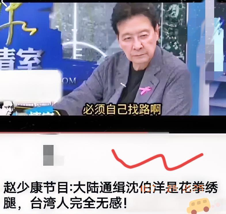 赵少康说立案沈伯洋是花拳绣腿？别着急，好戏还在后头！赵少康节目说立案调查沈