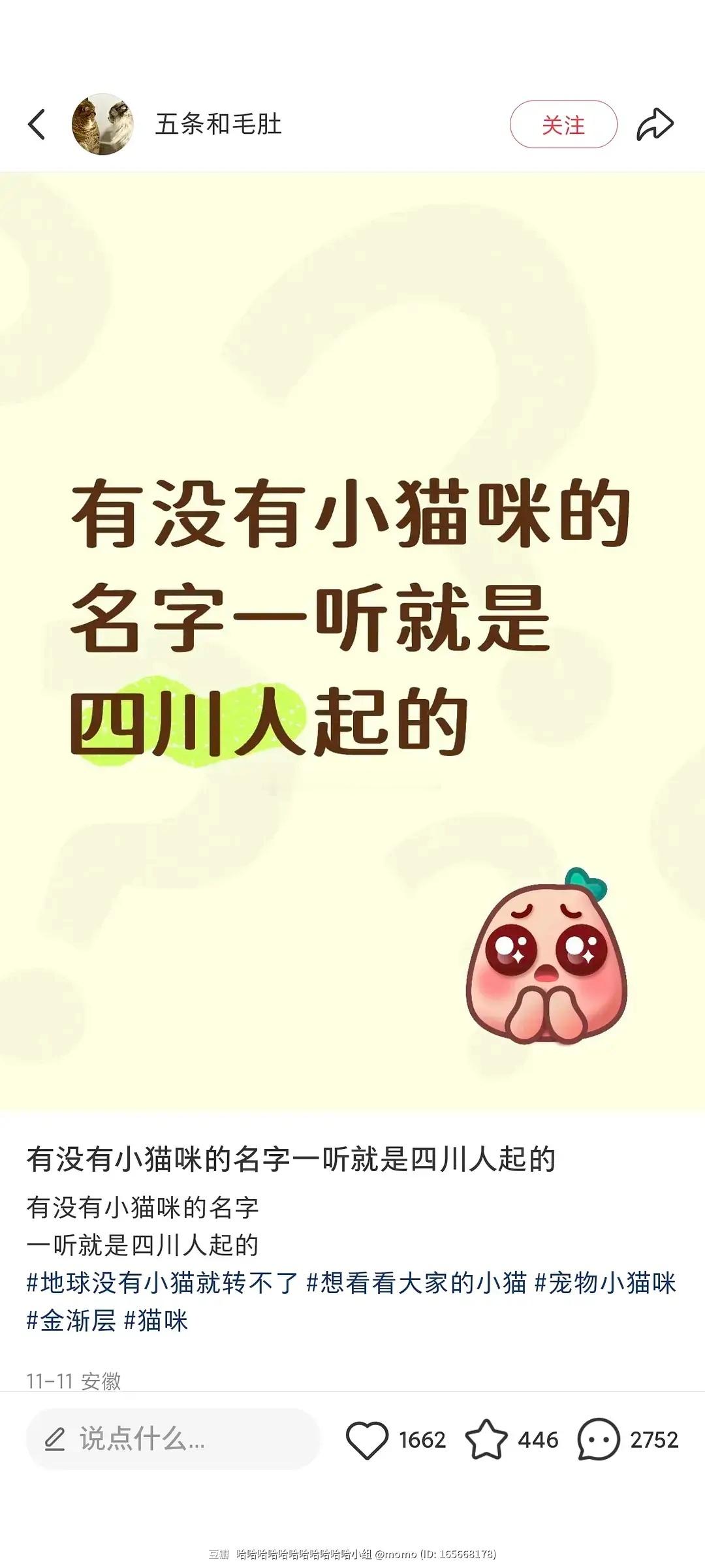 四川的猫叫什么？😂😂