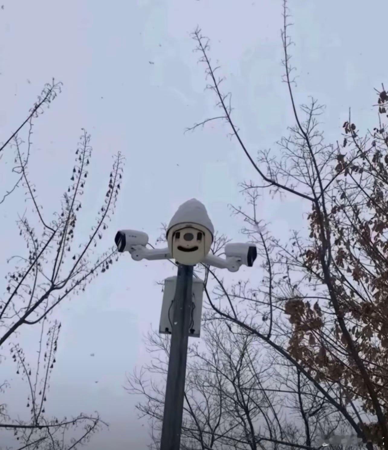 哈哈哈，吃饱饭刷了会抖音，就刷了一个其实。然后一条评论区，“哈哈哈”了20分钟多