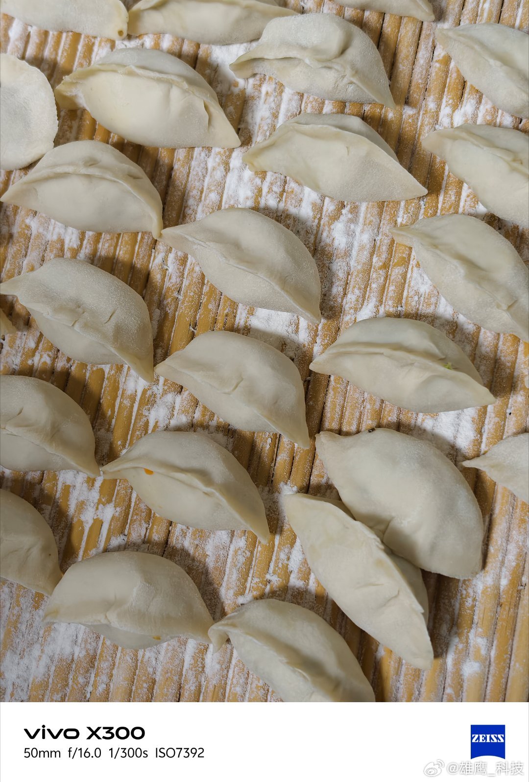 vivo今晚想吃饺子了，媳妇在家调的馅、和面、擀饺子皮，每一步都是家的味道。记