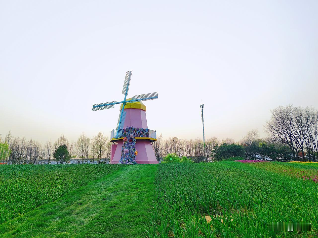 老年生活感悟：退休以后，活动的圈子越小，日子过得越顺。退休之后，告别了职场的