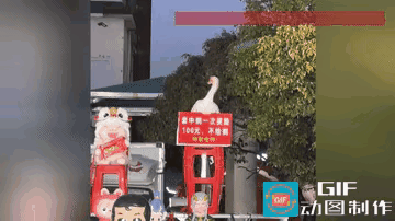 这只大鹅火了！安徽集市这只“打工鹅”直接凭实力走红，笑翻全网！摊位写着套中