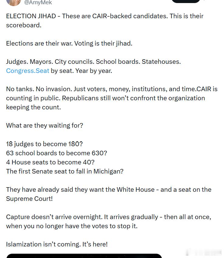 “选举圣战”——这些都是获得美国伊斯兰关系委员会(CAIR)支持的候选人。这就是