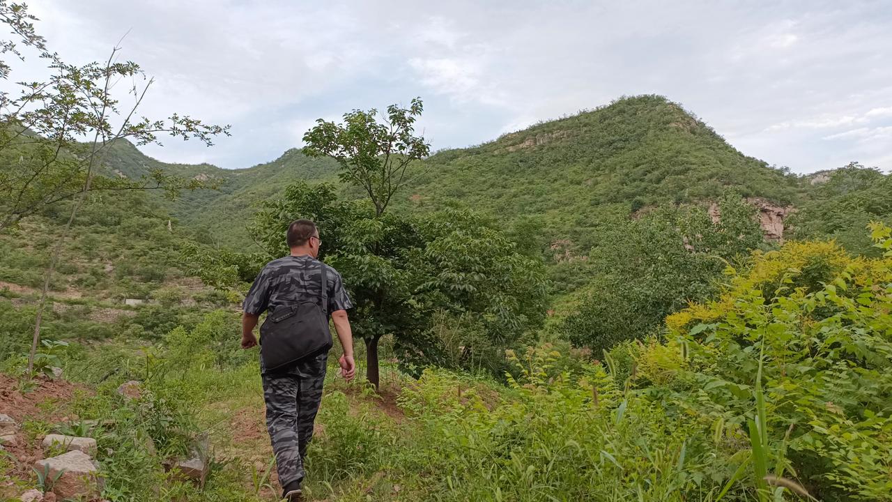 这里是河北涉县西达镇的窑洼村。由于村庄至今没有信号，只能通过打听附近老人们，才勉