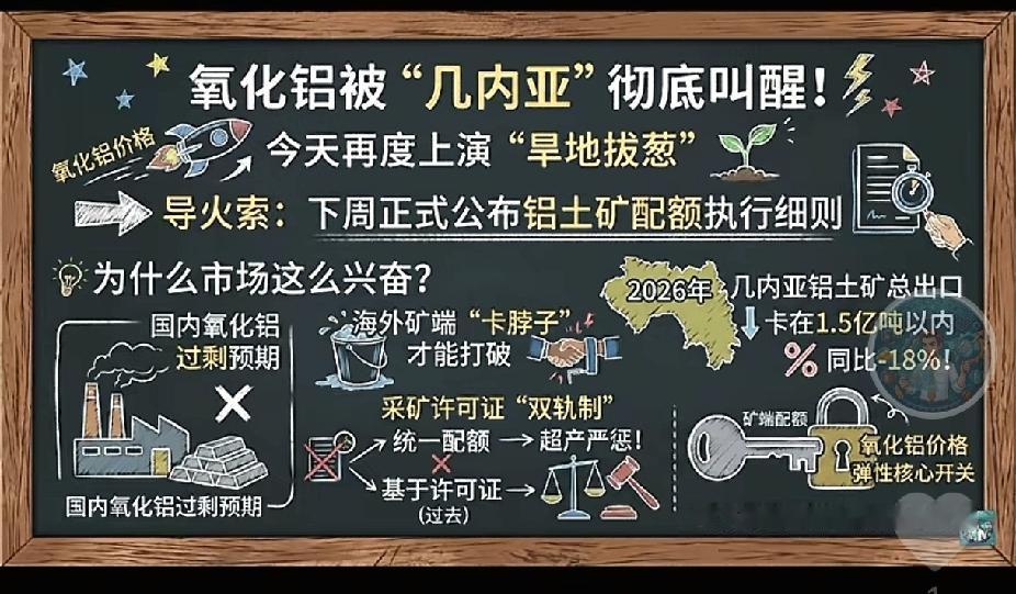氧化铝沉寂了大半年，今天终于被“几内亚”三个字炸醒了！几内亚官方放话了：下周