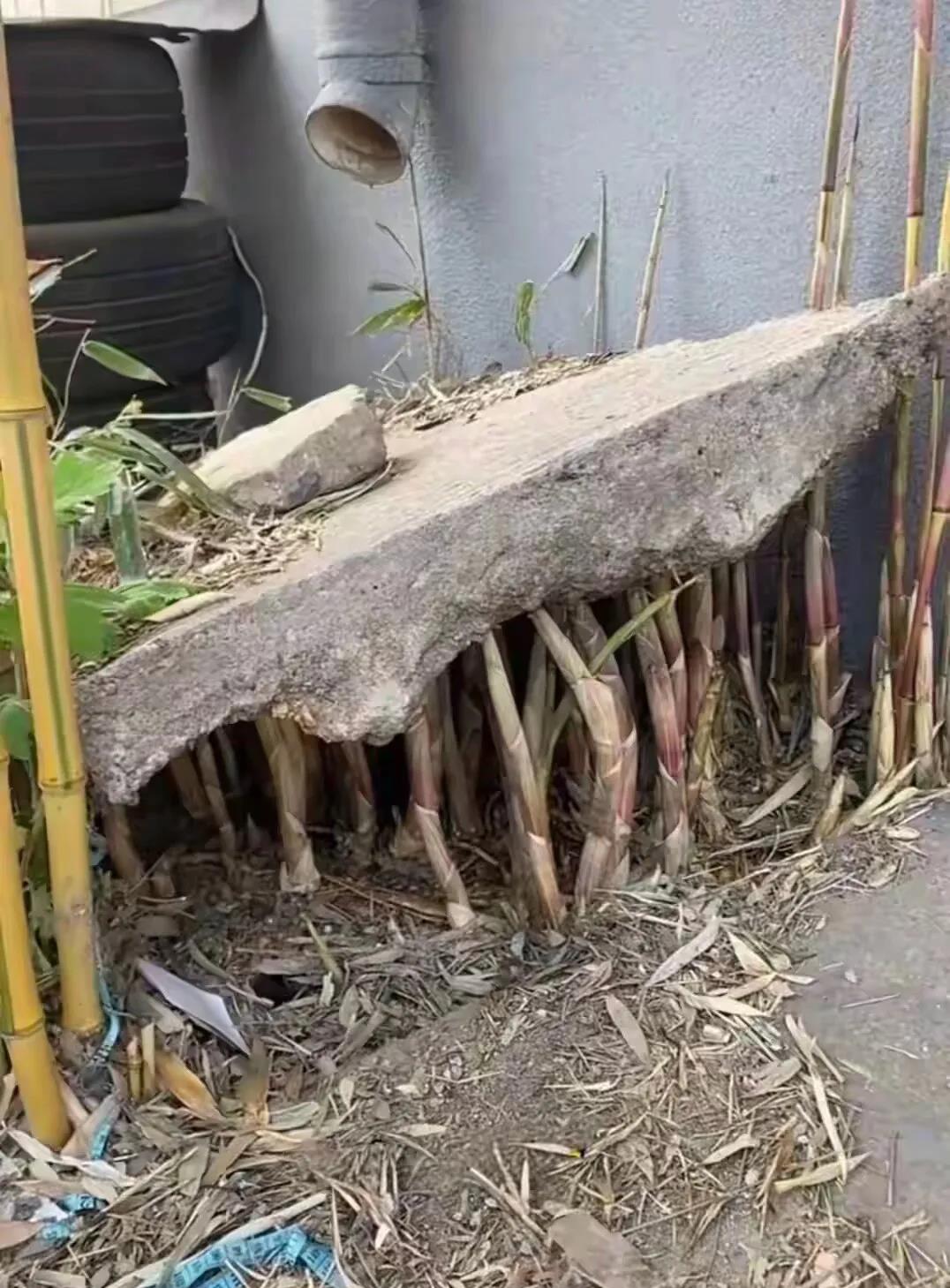 这就是力量