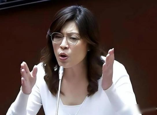 2026年6月11日，国民党“立委”郑丽文在公开座谈中被人问到对“一国两制”的看