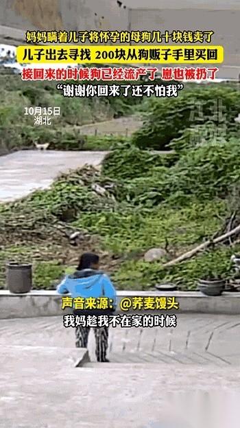 刷到这个真的破防了。42个小时，不吃不喝不睡，就为了找一只狗。他妈几十块钱卖