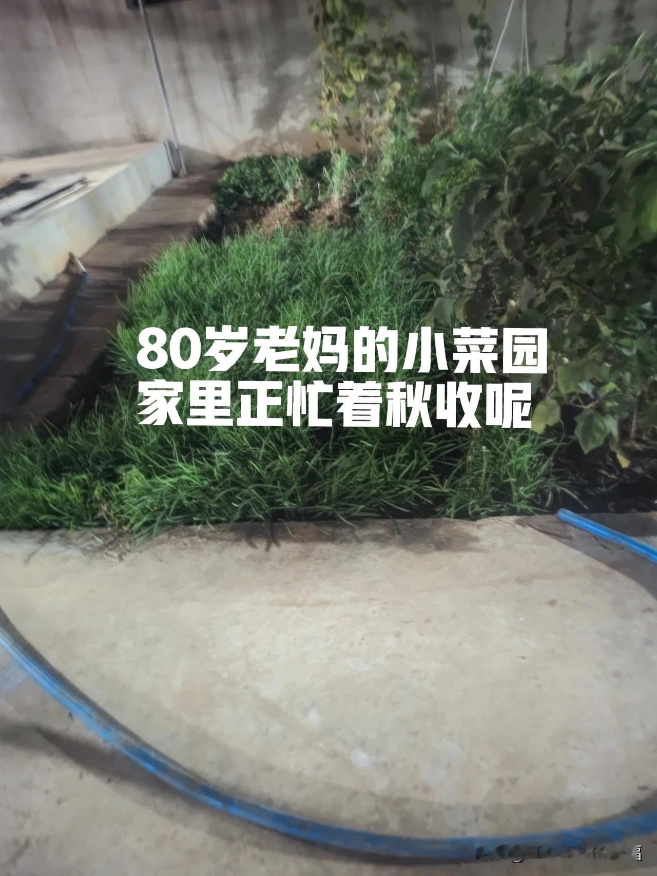 远嫁的我只能视视频,放假的时候带着孩子回去看看他们,帮不上什么忙,心里想想还是有