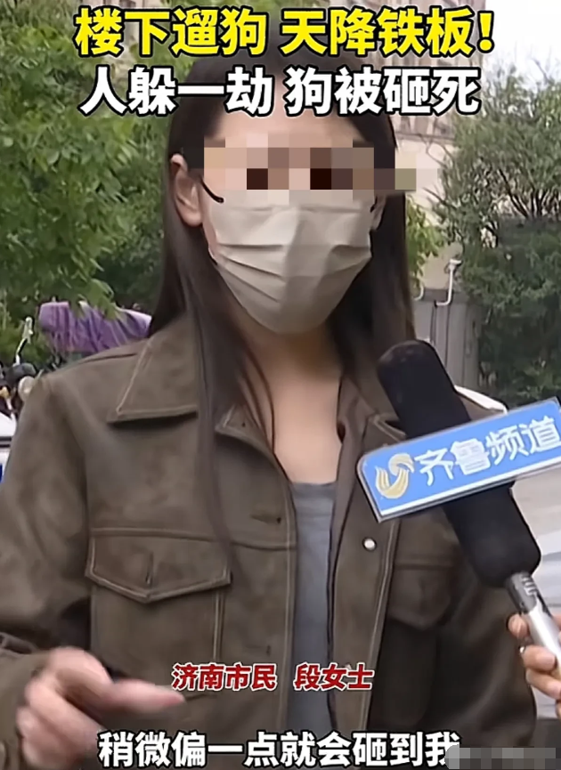 山东济南，女子出门遛狗，她的爱犬被大风刮落的大铁板砸中，当场就没气了，事后女子得