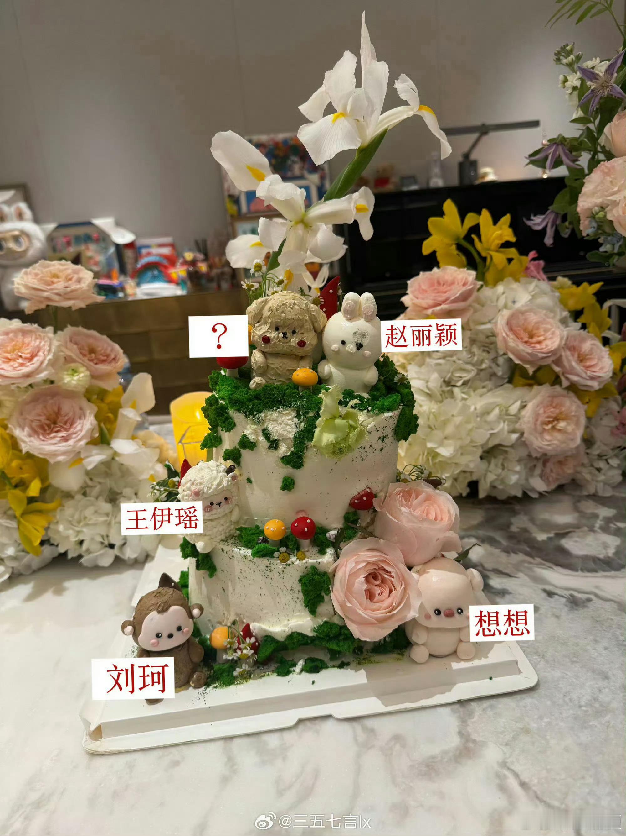 赵丽颖生日蛋糕上的是谁？刘珂认领了🐒那赵丽颖的🐶。引发粉丝讨论，感觉上面那个