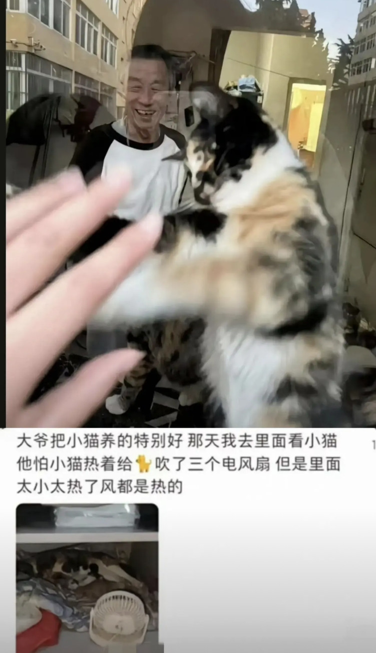 青岛大学最有爱的宿管，没想到就这样走了，就宿管大爷的身体素质不谈，诱因的确是青岛