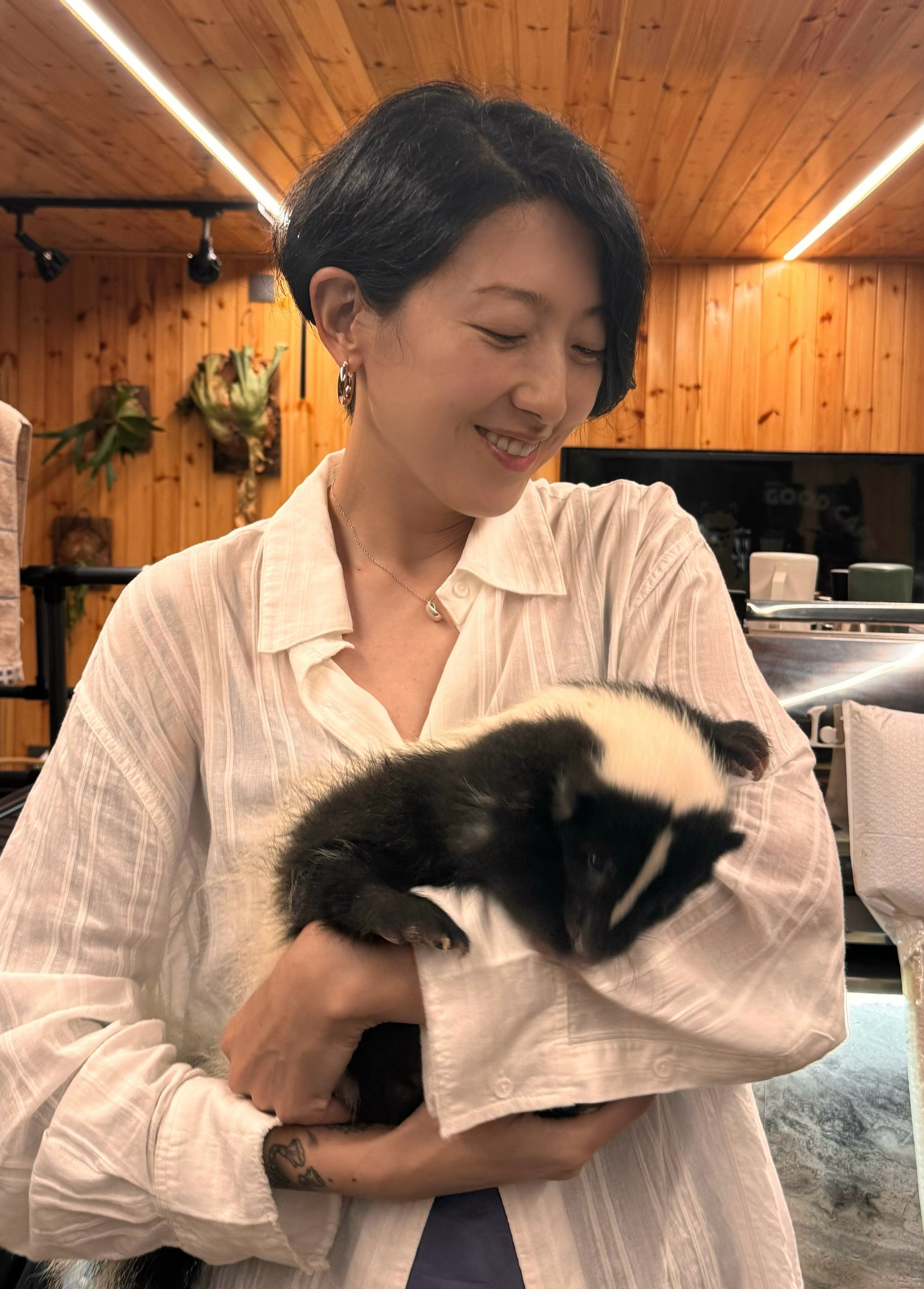 原来臭鼬一点也不臭呀～🦨
