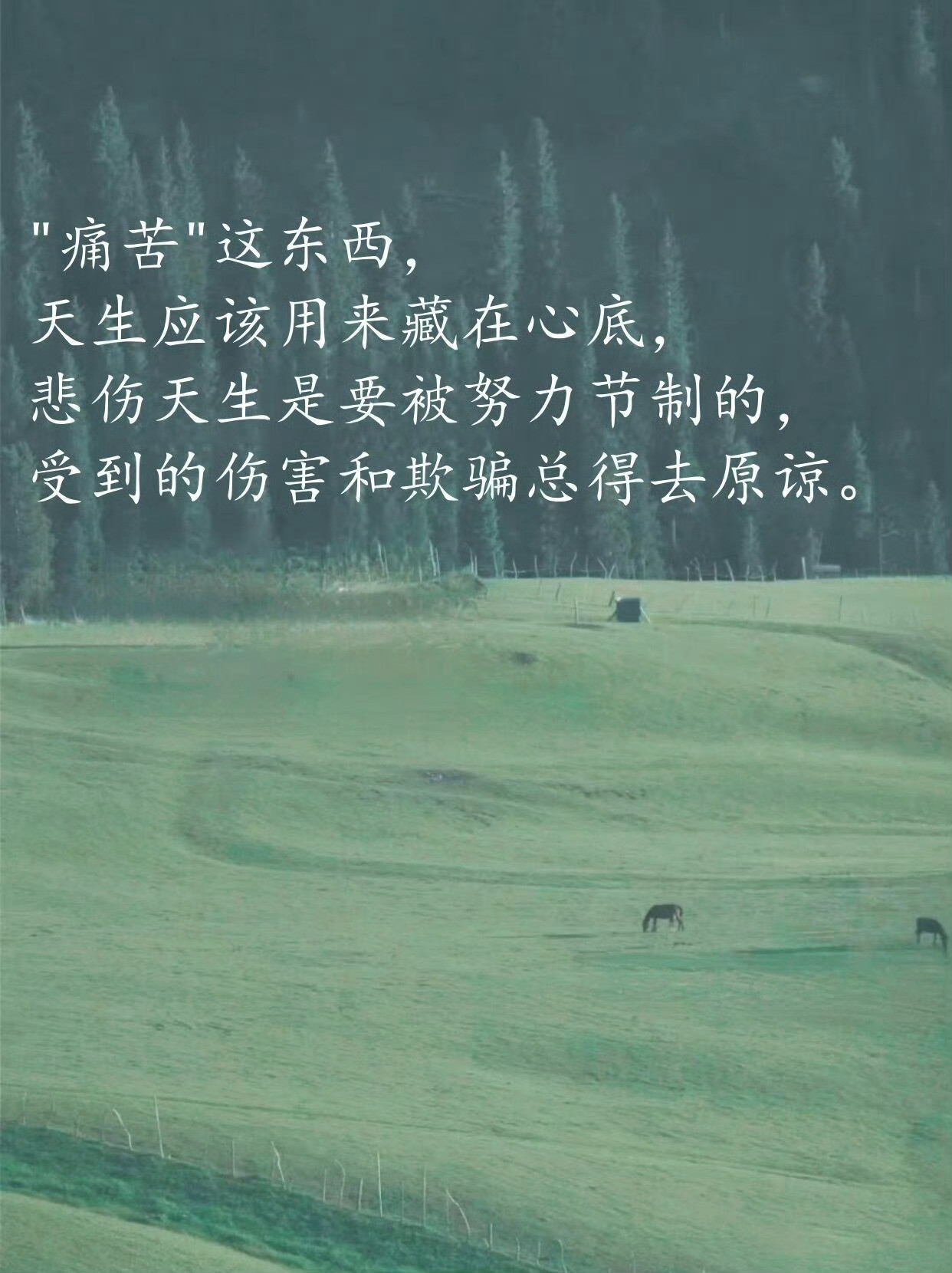 《我的阿勒泰》原著里那些美到窒息的句子，哪一句戳到了你？