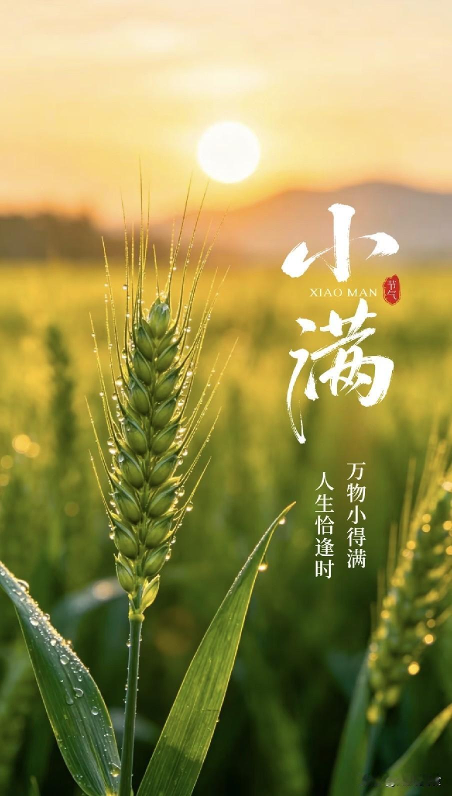 明日小满，建议中老年早餐吃这4样，精神抖擞一整天5月21日即将迎来小满节气