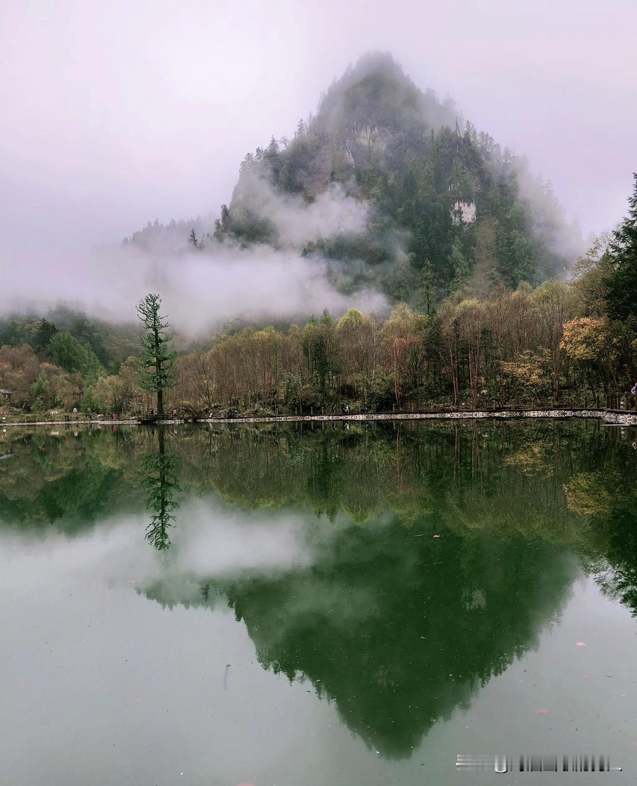 癌症晚期就是生命开始倒计时的时候，现在的医疗技术没有办法，放弃治疗是明智之举，趁