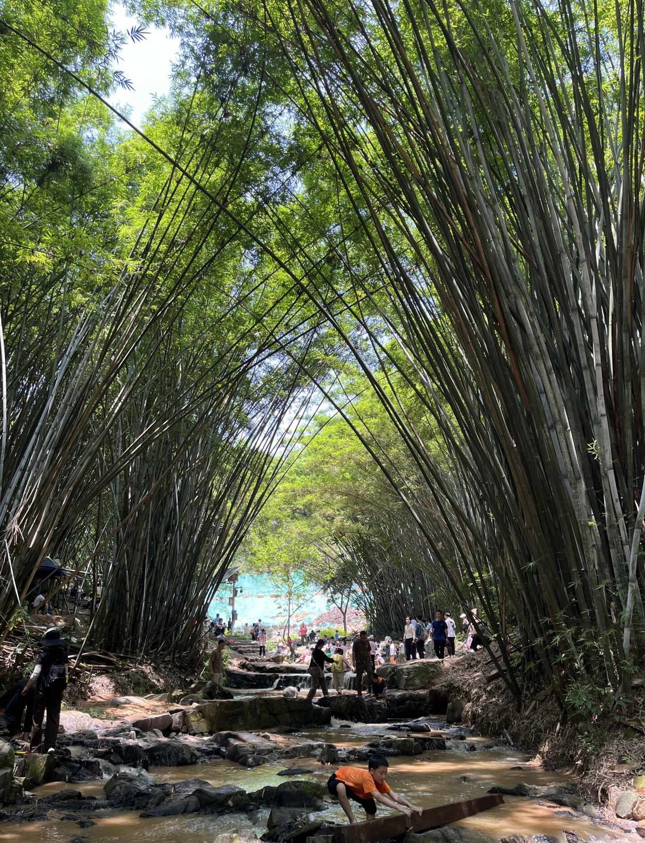夏天必走！🎋广州竹林溯溪黄麻大环线夏天的快乐就是徒步+溯溪一键拿捏✨来黄麻