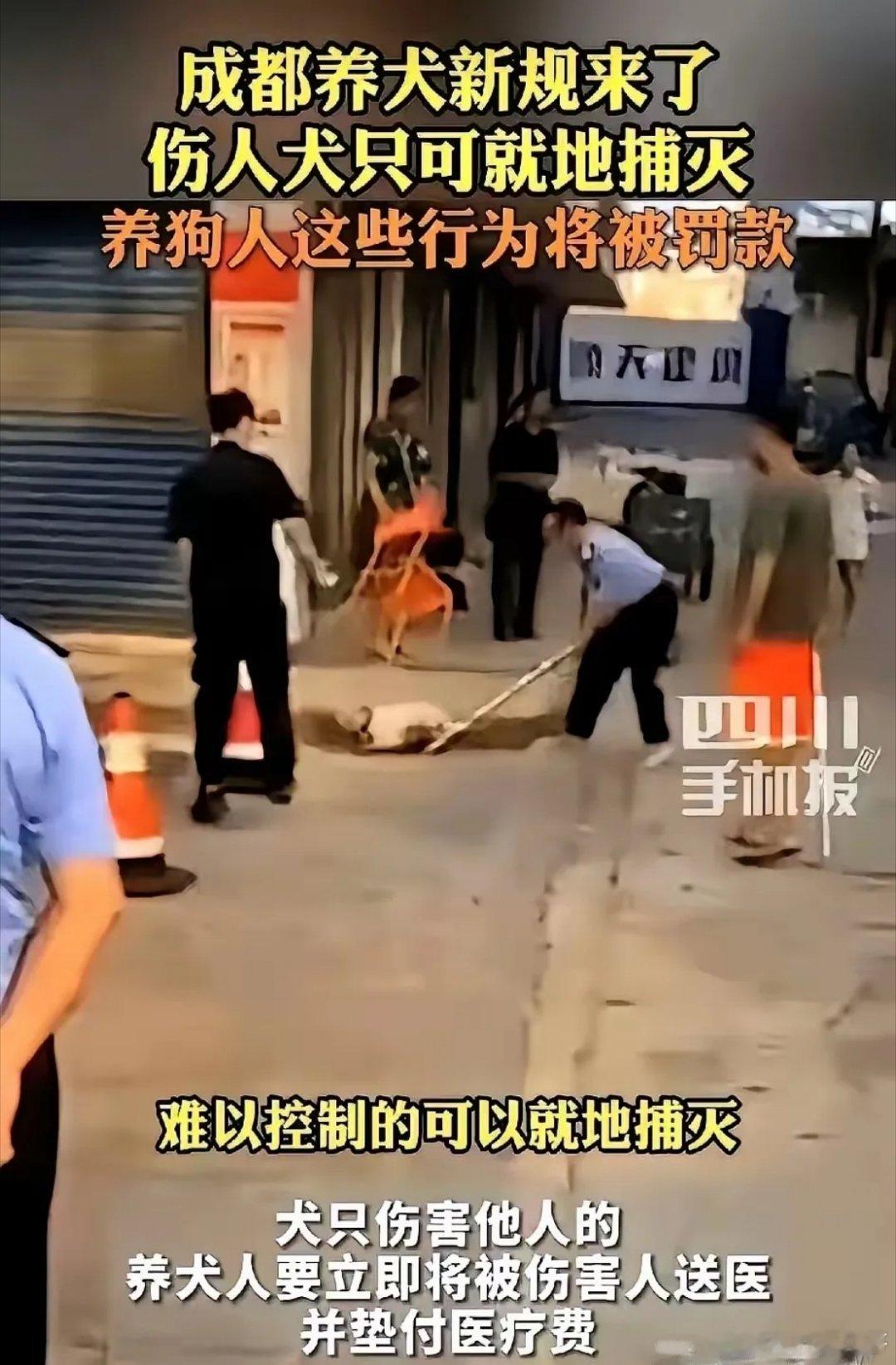 成都的养狗新规太给力了！狗咬伤人，狗主必须带伤者去医院检查，并且承担费用；狗遛狗
