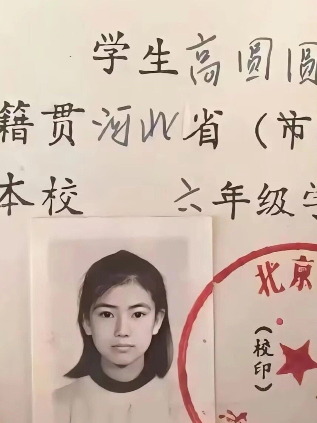 高圆圆小时候就长的很靓了，骨相皮相都好完美