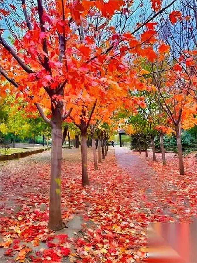 你有没有发现？越活越明白的人最在意的从来不是钱。我妈总念叨“人心是块