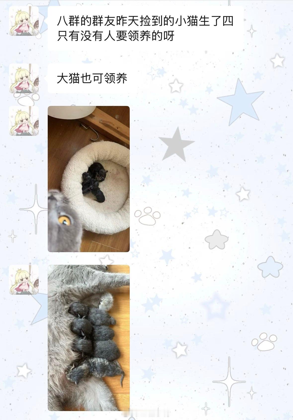 坐标台州，帮忙问问有想领养小猫咪的嘛？