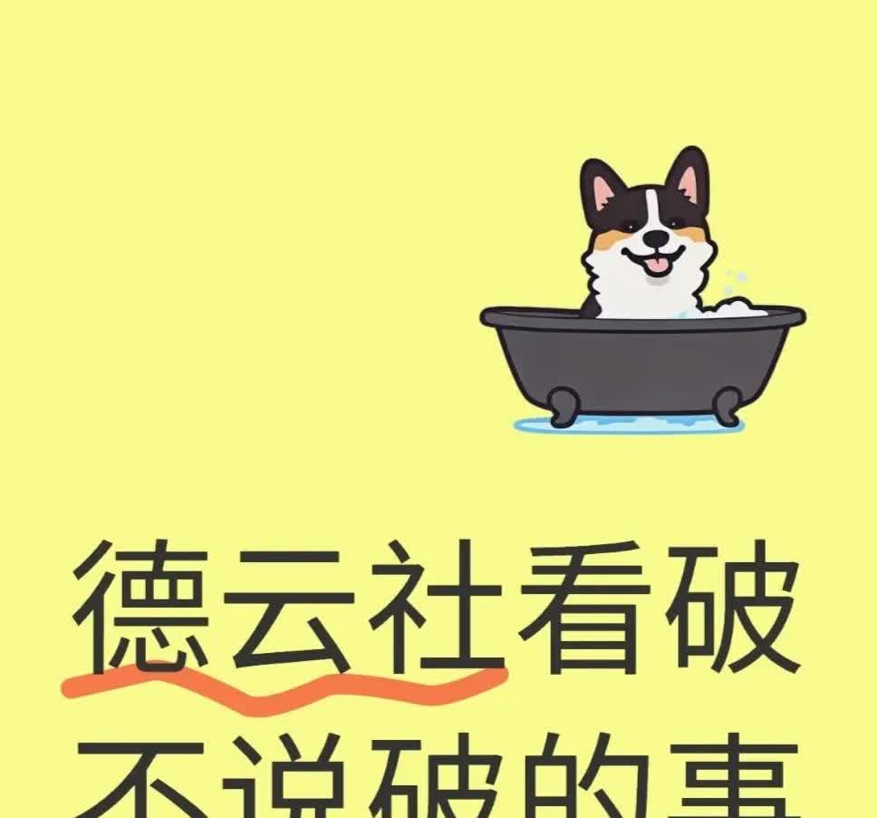 德云社看破不说破的事——一、德云社谁都不愿当大师兄，第一，前大师兄的结局都不