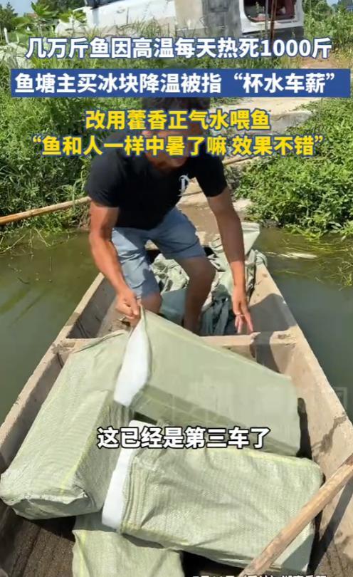 “这下亏大了！”2025年7月，湖南岳阳，一男子的鱼塘每天都要死1000多斤鱼，