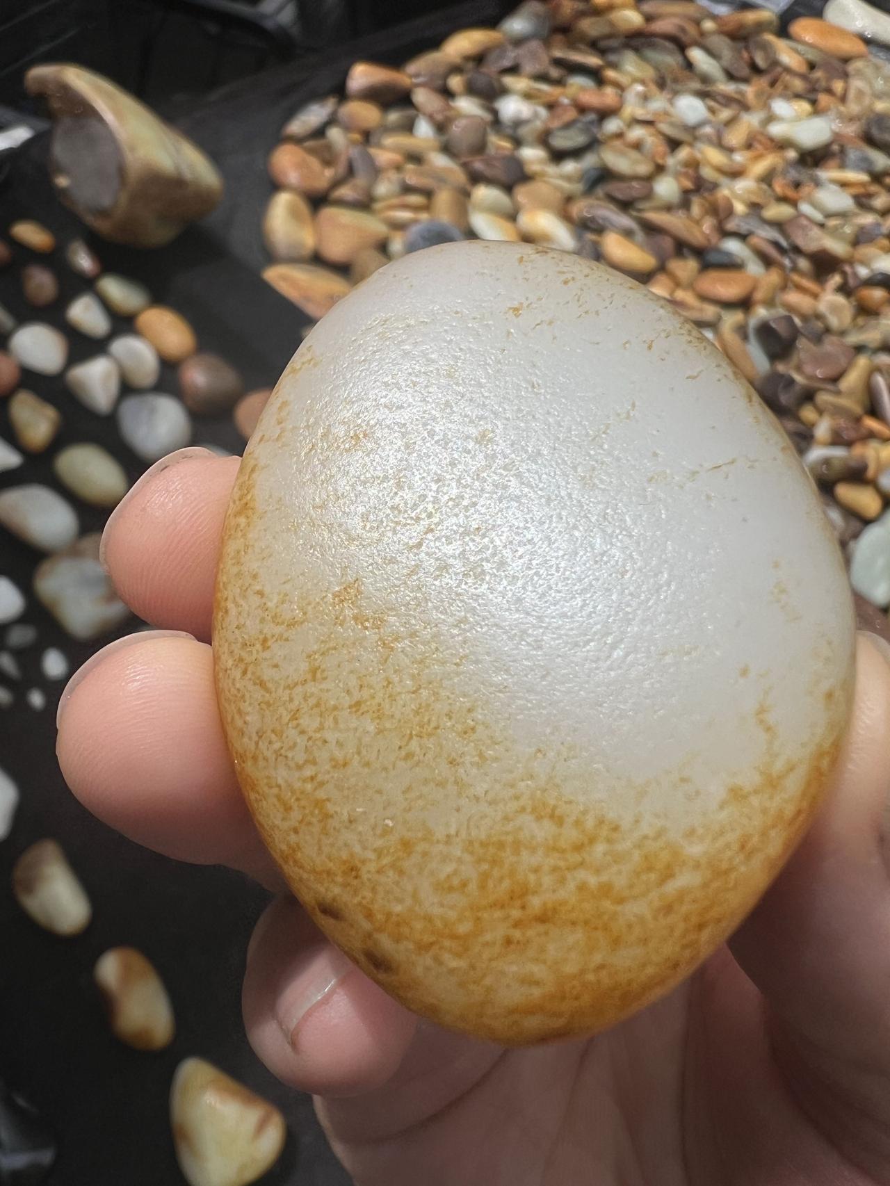 为什么真正高认知、有修为的人，都格外喜欢佩戴玉石？要知道，每一块天然美玉，都有