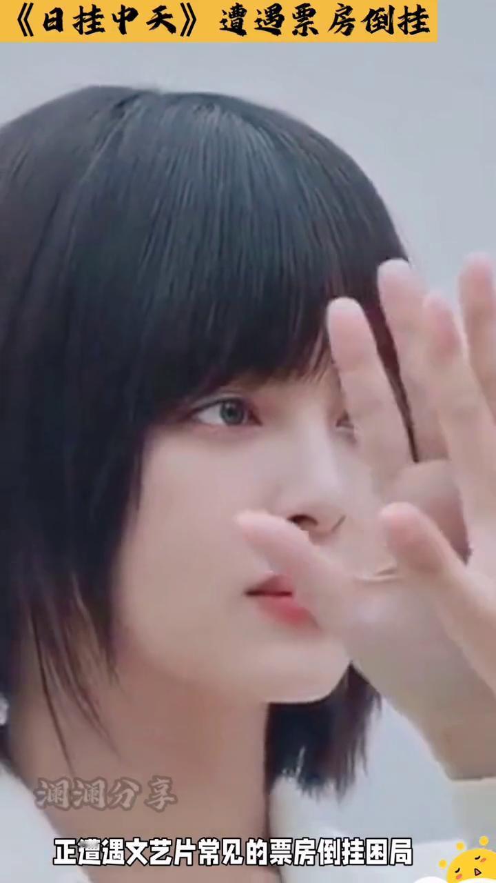 《日挂中天》遭遇票房倒挂。澜澜分享。威尼斯影后辛芷蕾主演的《日挂中天》正遭遇