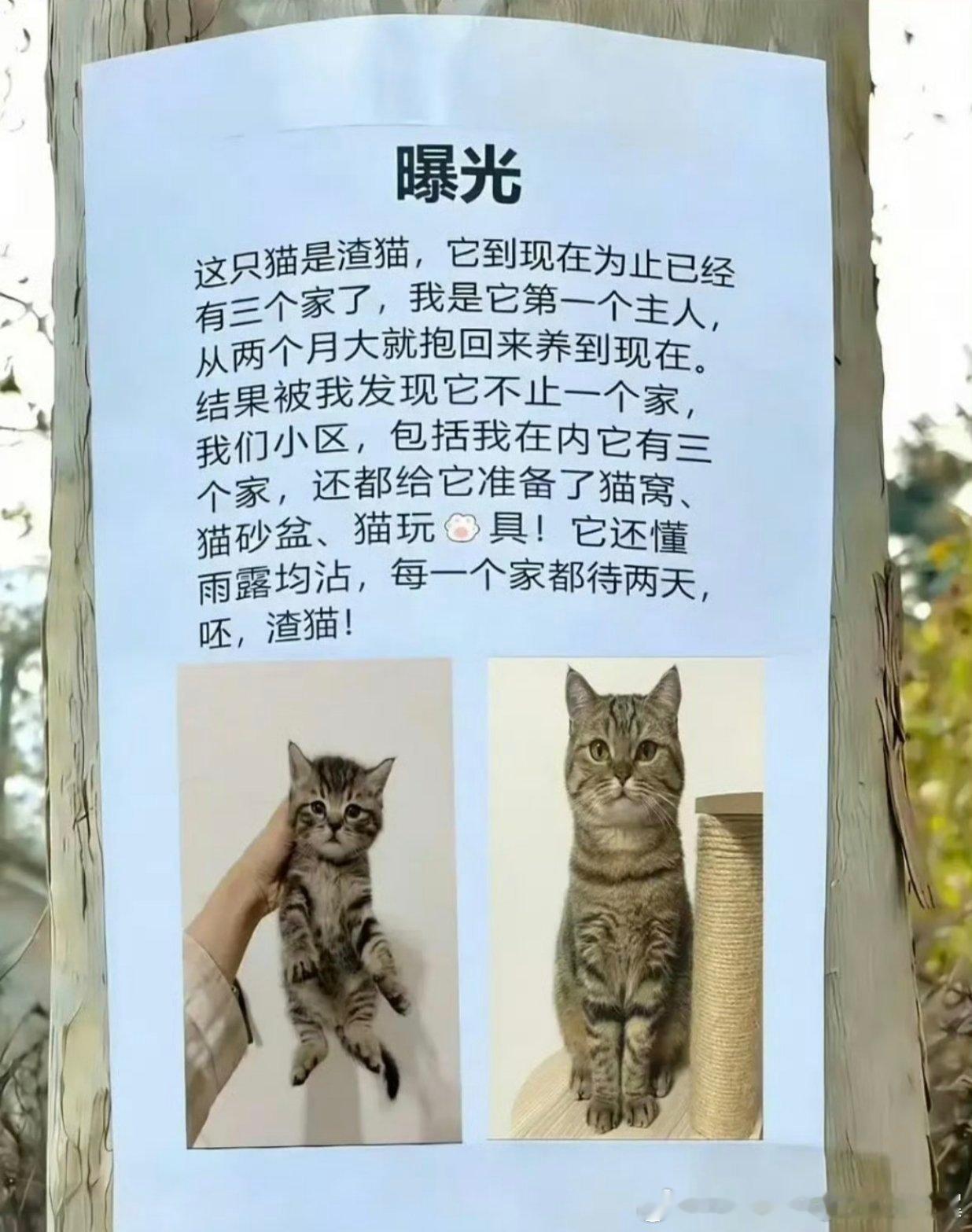 时间管理大师​​​