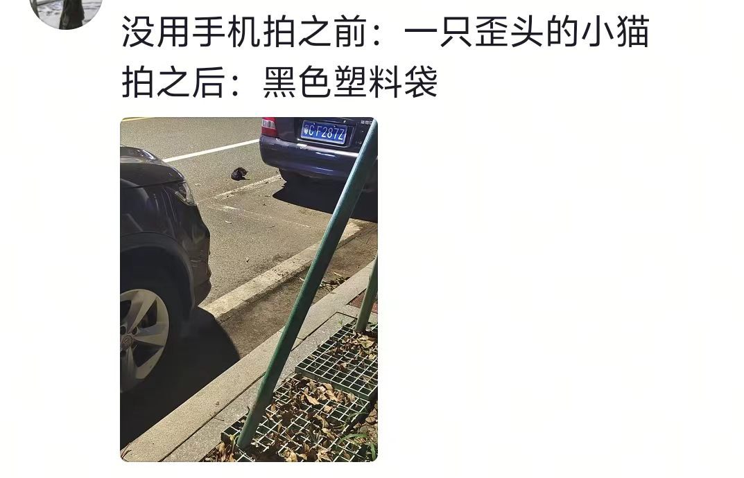 我已经眼瞎到这个地步了吗···​​​