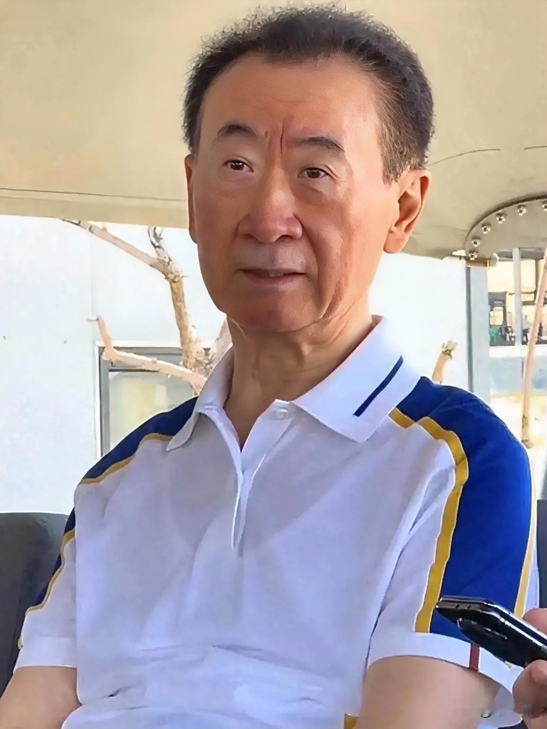 有人拿潘石屹和王健林一起比较，因为他们俩有个共性，就是都选择了出售大量的资产来降