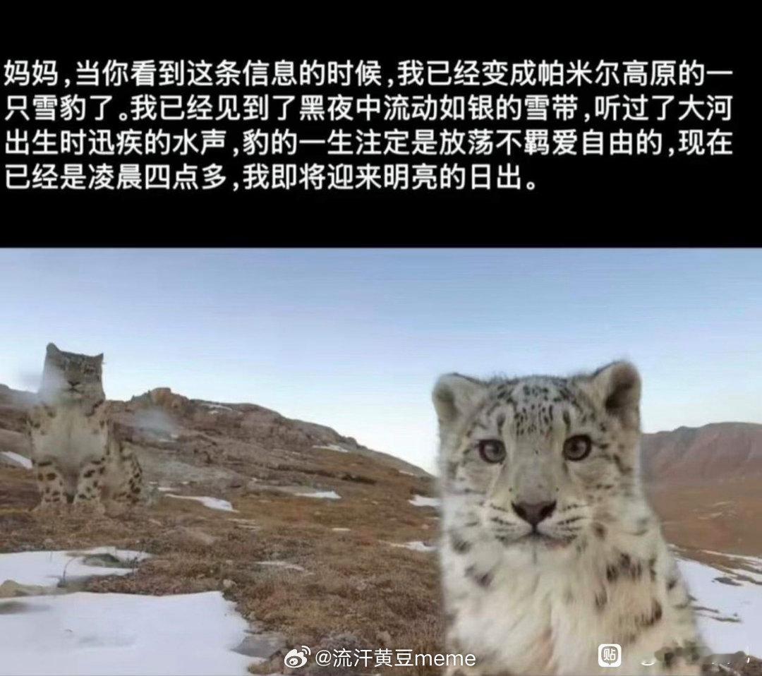 网友投稿图片选集​​​