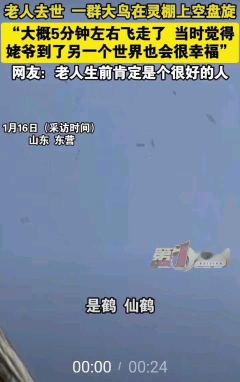 “彻底解释不清了!”山东，91岁老人去世，当天刚要起灵时，灵棚上空突然传来阵阵鸟