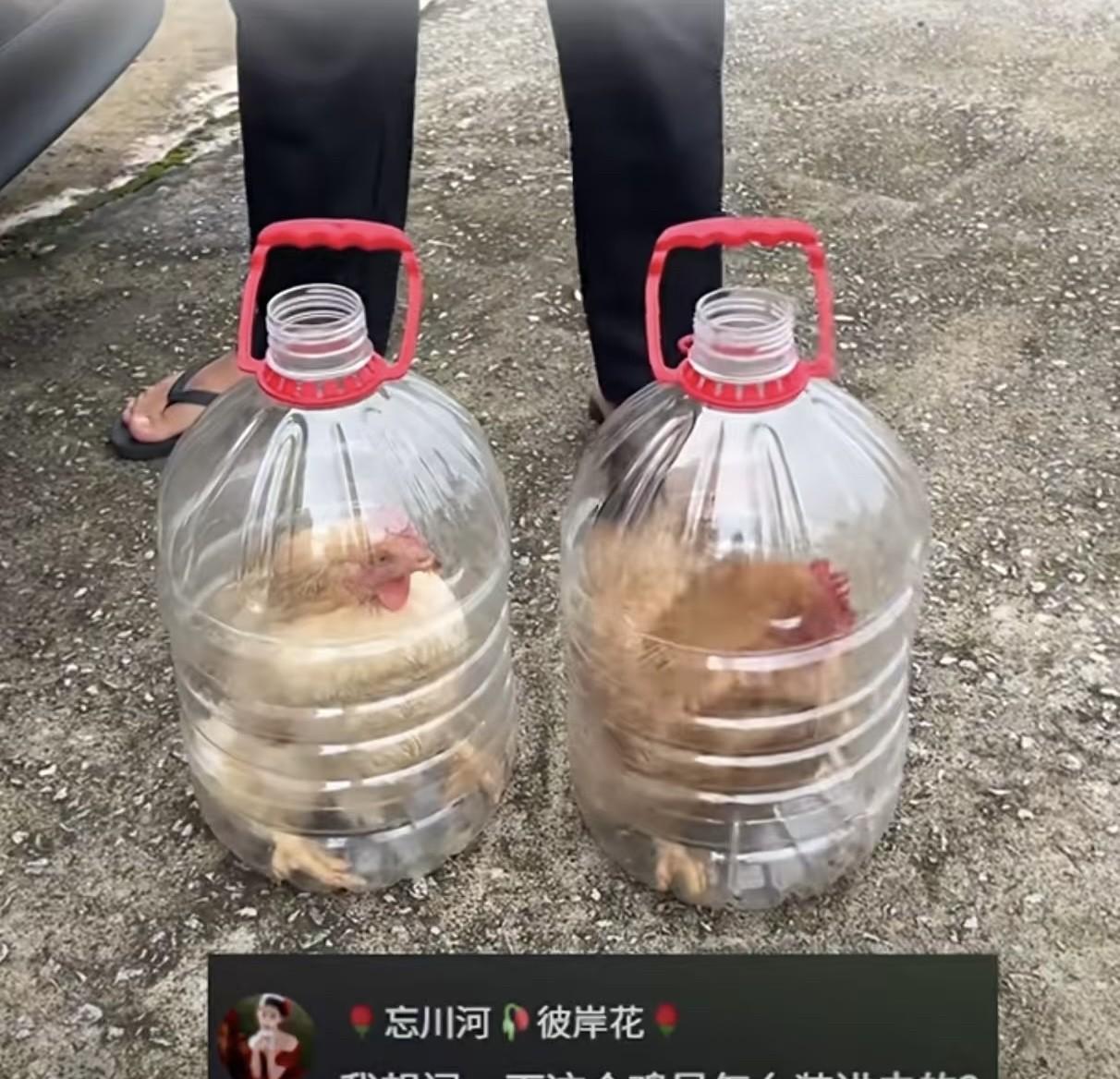 这个长途运鸡的方法实在是太完美了，所以说高手在民间这事儿是不容置疑的！前些年走亲