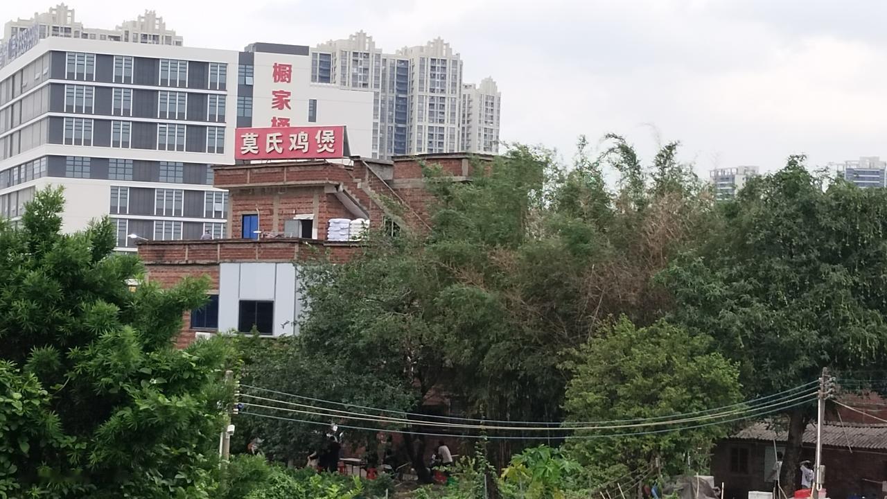 科学的尽头是玄学，用这句话来形容莫氏鸡煲的火爆是否恰当呢？顺德的莫氏鸡煲这段