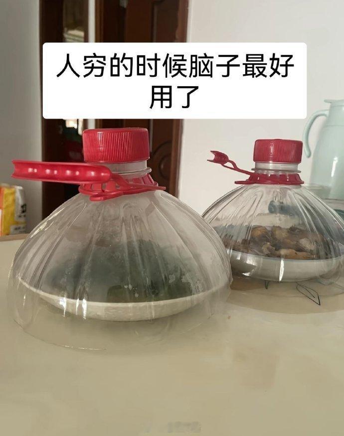 人在穷的时候脑子最好用