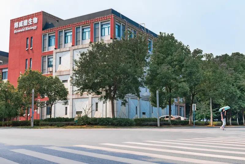 2020年没上紫金矿业，2026年别再放过和邦生物。听了这句话，感觉很扎心。