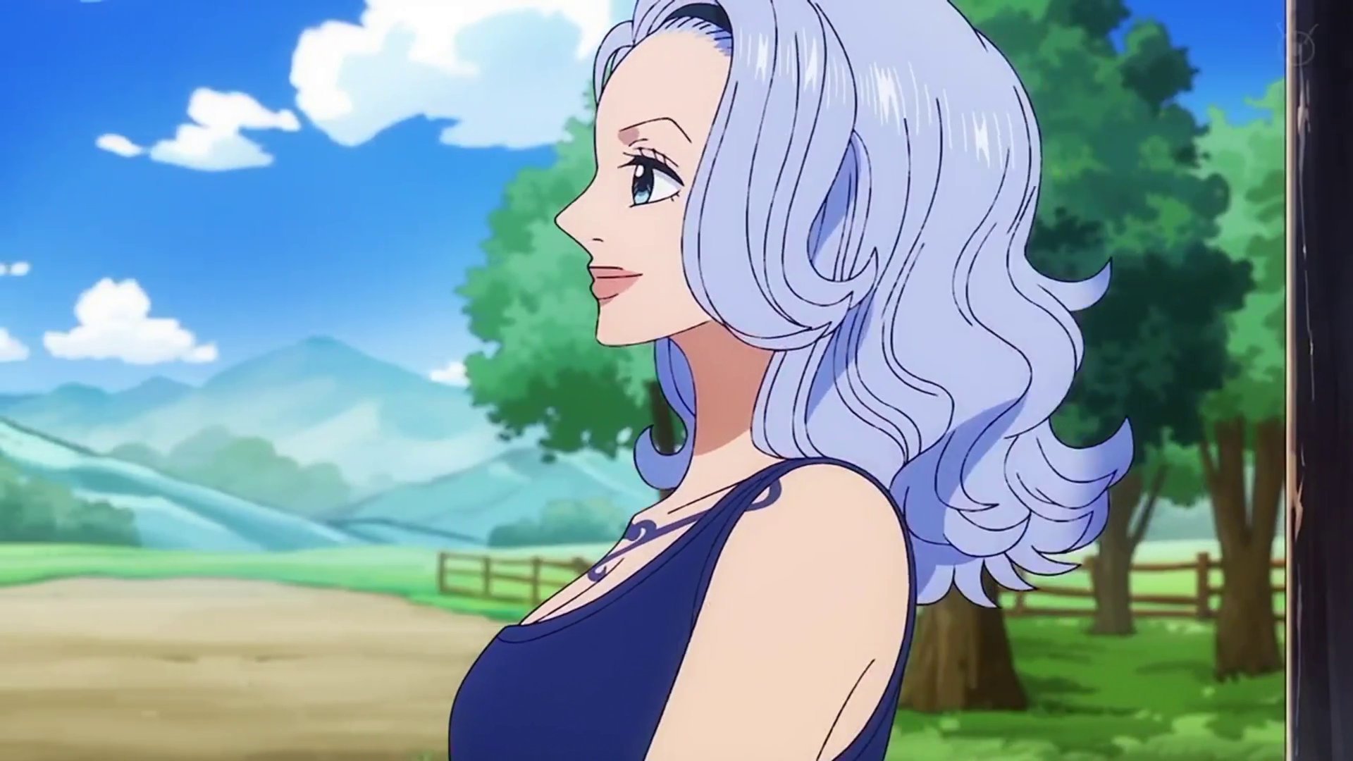 海贼王海贼王诺琪高也变白了吗哈哈哈哈哈​​​