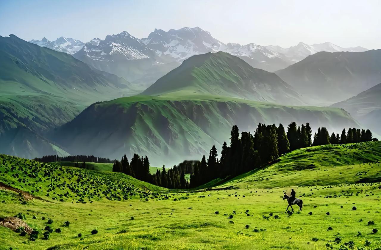 我们有一些家长没有搞明白，以为学校里面请几个退休的老教师，这些老教师曾经在知名的