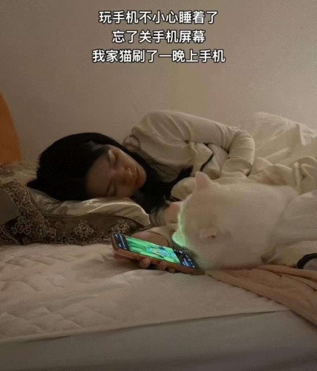 太有灵性了！广东icon一女子躺床上玩手机，玩着玩着睡着了，结果，她养的猫咪却爬