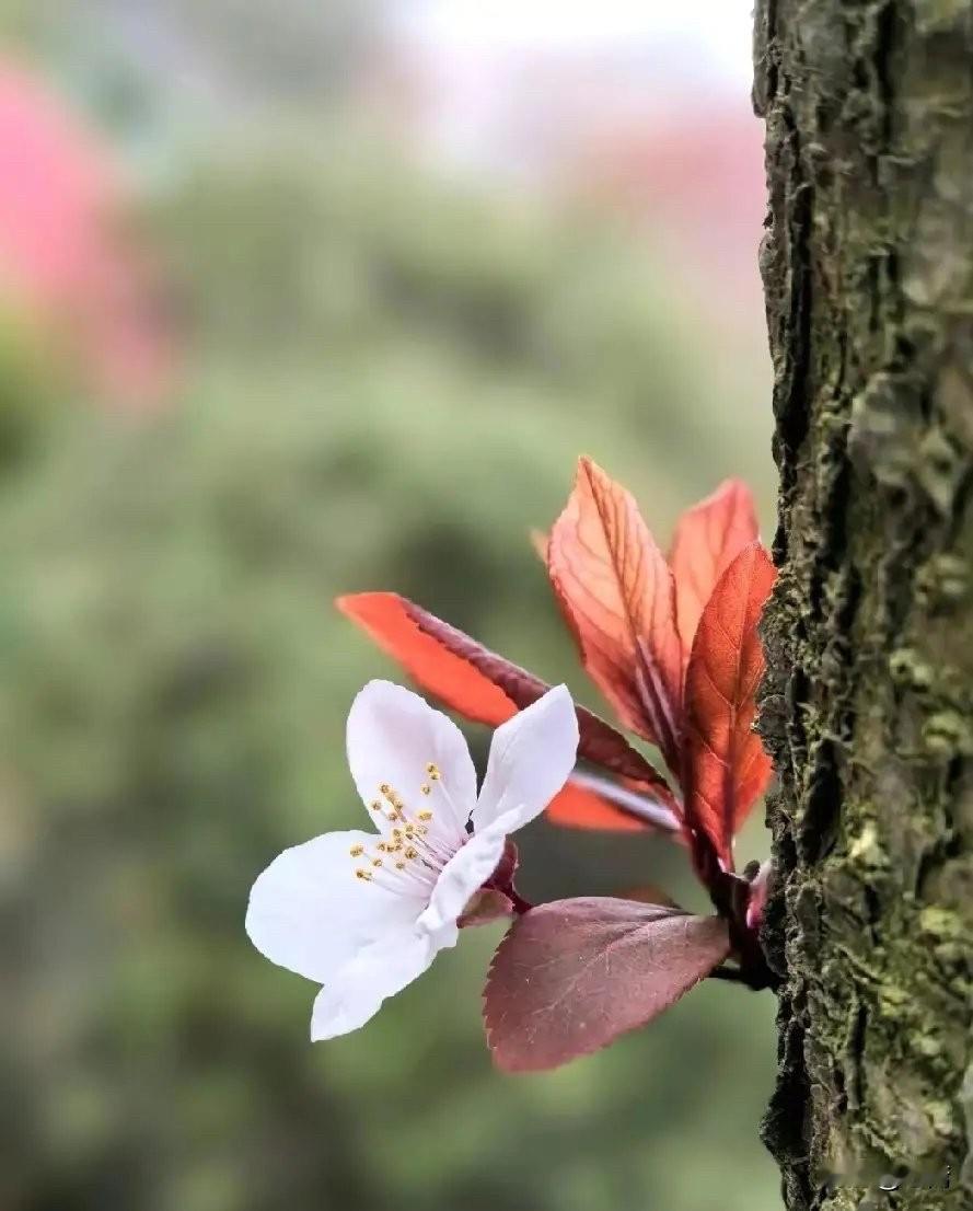 跟不同圈子的人聊天，会发现他们关心的事完全不一样。体制内的人关心编制、级别、
