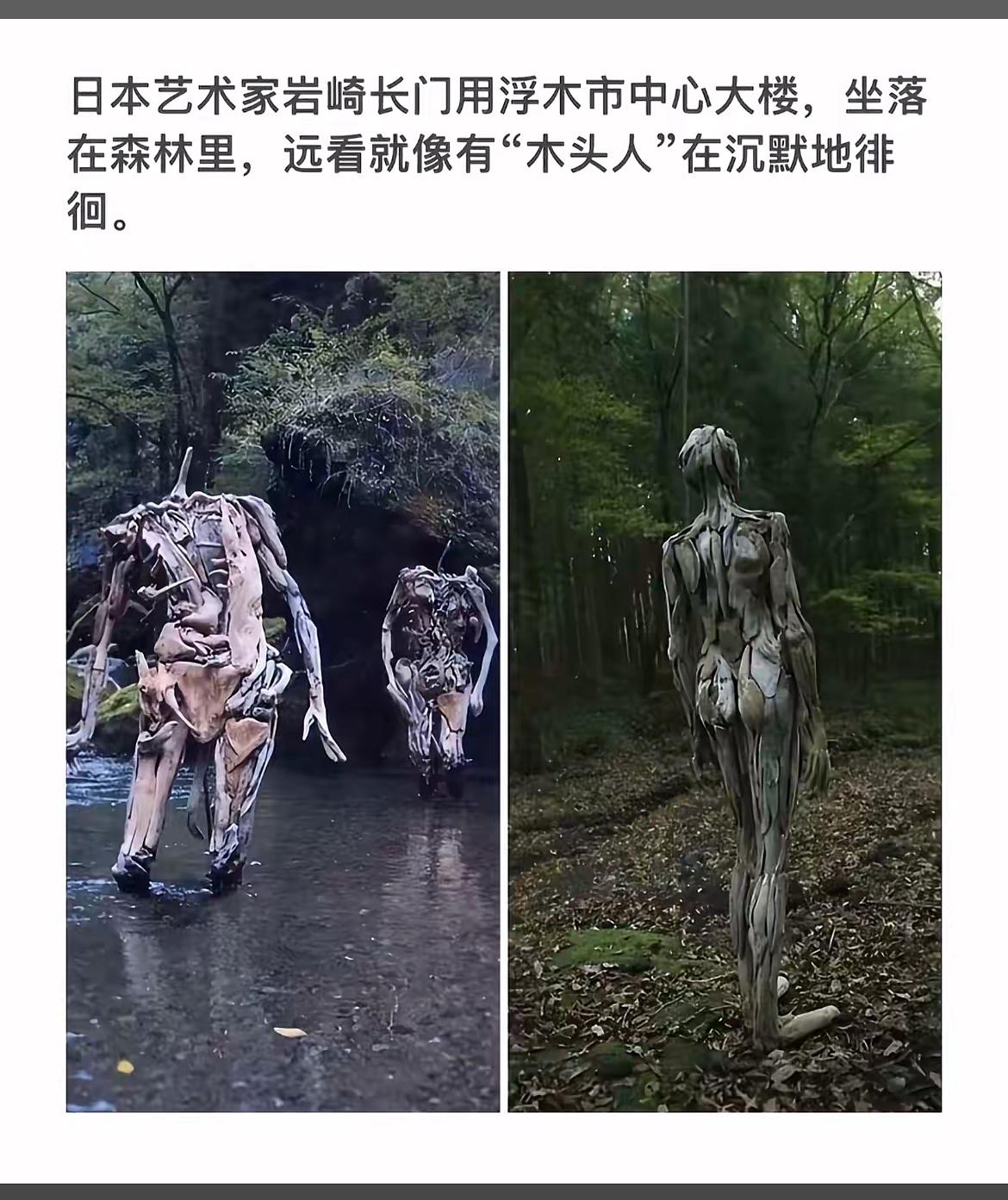 日本森林中的“木头人”雕塑，静谧而神秘。