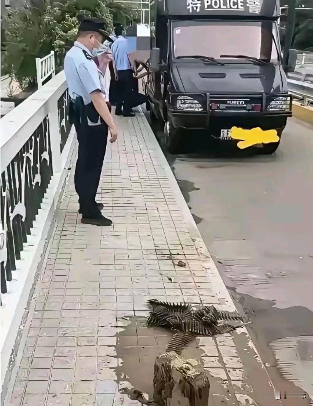 钓鱼佬除了鱼钓不上来，什么都能钓上来！