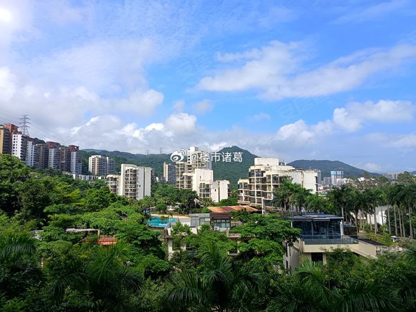 网友：在深圳盐田住了几年舒服得很，特别是大梅沙，通地铁，可以下海游泳和爬马峦山。