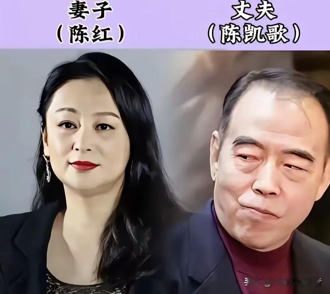 男丑女美也好男大女小也罢性格合拍的婚姻更稳定